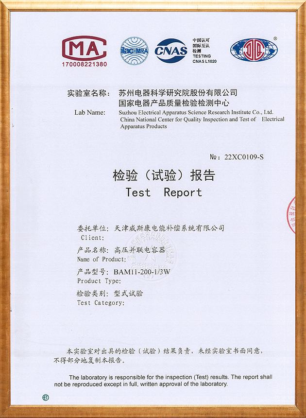 试验报告